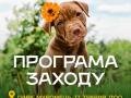 У Києві відкривається «База 4.5.0» — новий простір емоційної підтримки для людей та собак