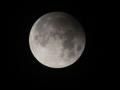 "Кучерявий" Місяць: вчені розкрили таємницю загадкових аномалій на поверхні супутника Землі
