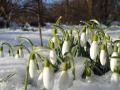 Коли в Україні закінчаться погодні "гойдалки" і настане тепла весна – пояснення експертки