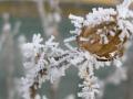 Мороз міцнішає. Синоптики дали прогноз на 24 січня