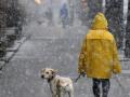 Україні у понеділок прогнозують дощ і мокрий сніг, вночі - до 6° морозу
