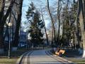У Києві торік зафіксували 47 температурних рекордів