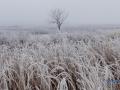 В Україні у середу прогнозують до +10° із туманом, подекуди - з мокрим снігом і дощем