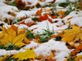 Україні прогнозують нічні морози, сніг та ожеледицю