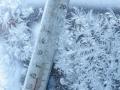 17 січня в Україні утримається мороз, сніжитиме лише в Карпатах