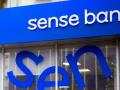 Уряд розпочинає підготовку до продажу пакетів акцій Сенс Банку та Укргазбанку