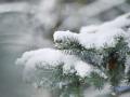 Сніг і дощ: на 7 грудня прогнозують від 10° морозу до 5° тепла