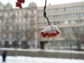 На вихідні Україні прогнозують помірні морози та опади