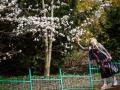 В Україні 21 травня подекуди опади, вдень прогріє до +24°