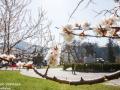 Синоптики прогнозують теплий квітень, але не по всій Україні