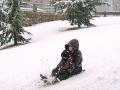Прогноз погоди на 5 лютого: до України повернулися сніг та морози до -16°