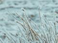Мороз, місцями дощі: прогноз погоди на 7 грудня Синоптики прогнозують сніг, дощ і мороз у містах України.
