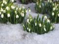 Прогноз погоди на 4 березня: в Україні буде сильни вітер, місцями мокрий сніг, температура - до +11°