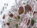 Гороскоп на 12 лютого для всіх знаків зодіаку: день, коли нас випробуватимуть нас міцність