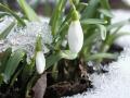 Переважно тепла погода та несуттєві опади: прогноз погоди в Україні на 13 лютого
