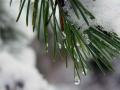 Де в Україні випаде сніг на Різдво: прогноз і карта погоди