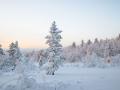Нічний мороз посилиться: прогноз погоди в Україні на 4 грудня