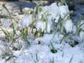 Прогноз погоди на 19 березня: де в Україні буде дощ і мокрий сніг