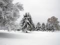 Негода триватиме: прогноз погоди в Україні на 12 січня