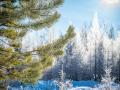 Чи випаде в Україні сніг на на День святого Миколая
