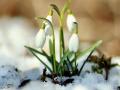 Сніг, дощ, місцями до +17: прогноз погоди в Україні на 10 березня