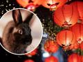Рік Кролика за китайським календарем: коли він вступить у свої права