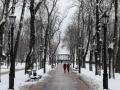 Без опадів, але не скрізь. Де 2 лютого чекати дощ із мокрим снігом в Україні