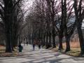 Очікується до +15 градусів. Синоптик дала прогноз на 22 березня в Україні
