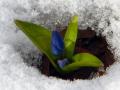 Прогноз погоди на 5 березня: в Україні стане прохолодніше, місцями - сніг та сильний вітер