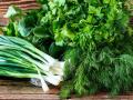 Як зберігати зелень в холодильнику, щоб вона була свіжою