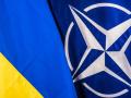 У НАТО зробили заяву про план Залужного на війну: який сюрприз чекає на Путіна