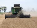 В Україні підвищили прогноз збору зерна через рекордну урожайність
