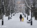 Тепліше за норму: Укргідрометцентр дав прогноз на лютий