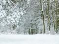 До України йде потепління: прогноз погоди на 19 грудня