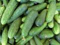 В Україні стрімко здешевшав салатний овоч