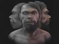 Обличчя найдавнішої людини вперше розкрито через 300 000 років