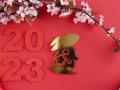 Зустрічаємо Китайський Новий рік: що чекає в рік Кролика кожен зі знаків гороскопу