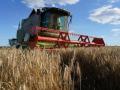 Цьогорічний врожай вдвічі перевищить потреби України в продовольстві, - Мінагрополітики
