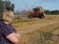 Прибутки з гектарів. Якими будуть ціни на землю в Україні та скільки на цьому можна заробити