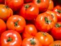 Помідори продовжують стрімко дешевшати: яка причина та ціни у магазинах