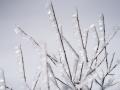 Без опадів, але з морозом до -20. Синоптики дали прогноз на 9 лютого