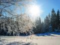 З мокрим снігом та “плюсами” вдень: якою буде погода в Україні на Різдво