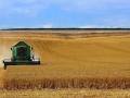 Багато врожаїв знищено повністю: Росія може втратити значну частину найважливіших сільгоспкультур