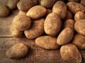 Экспорт картофеля из Украины вырос в 3,5 раза 