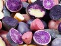 Розовый и фиолетовый: в Голландии презентовали необычный картофель