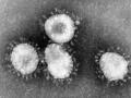 Минздрав призвал не вакцинироваться от китайского коронавируса