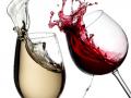 Красное VS белое: Alcomag рассказывает об основных различиях между винами