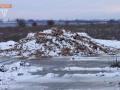Две тонны мертвых кур высыпали возле трассы на Днепропетровщине 