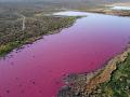 В Аргентине лагуна окрасилась в ярко-розовый цвет, но виновата не природа 