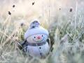Чи чекати українцям на мороз і сніг на Новий рік-2023: синоптики дали прогноз